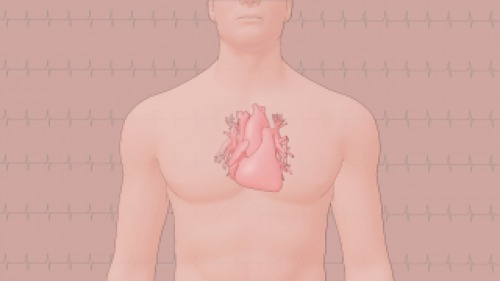 Propedêutica Cardiovascular na Atenção Básica