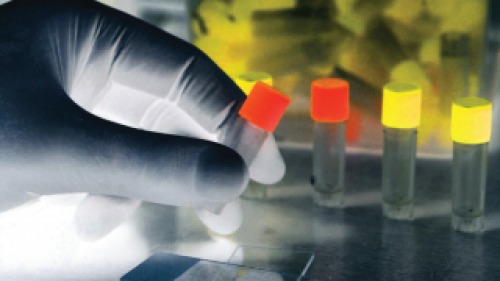 Doenças infectocontagiosas na atenção básica à saúde